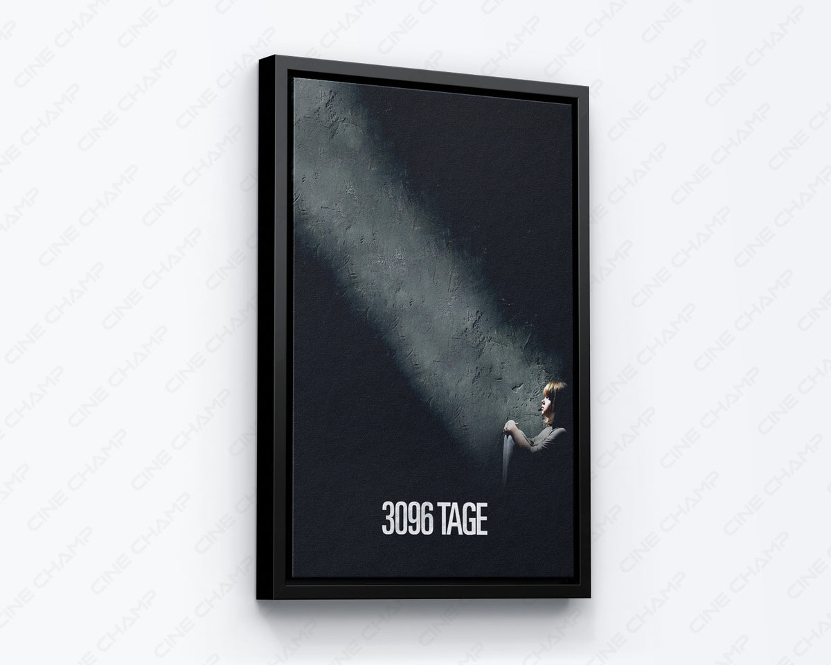 3096 Days Biographical Movie Artwork
