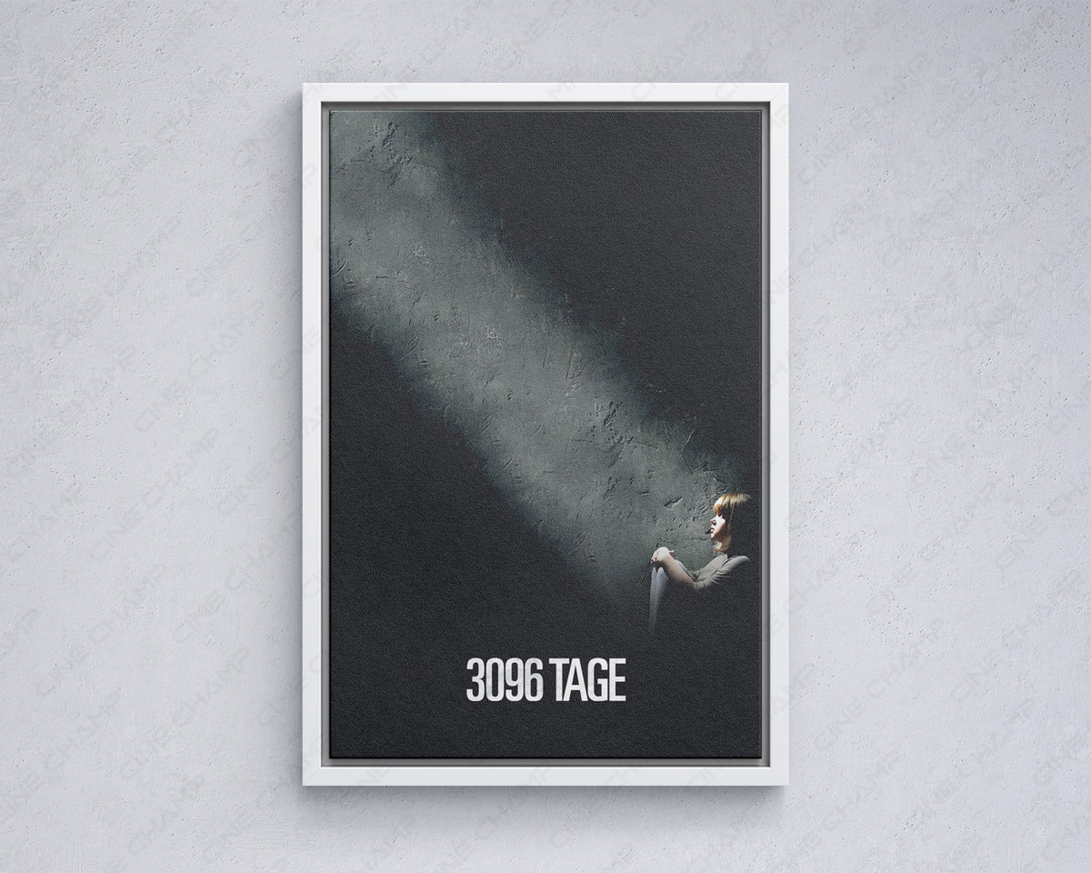 3096 Days True Story Wall Artwork