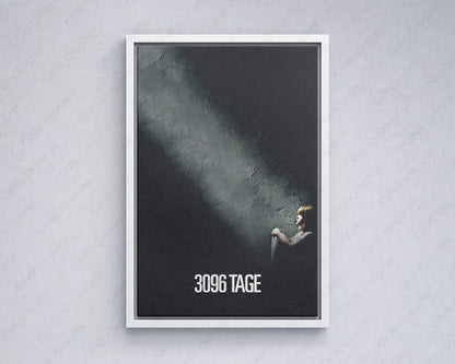 3096 Days True Story Wall Artwork
