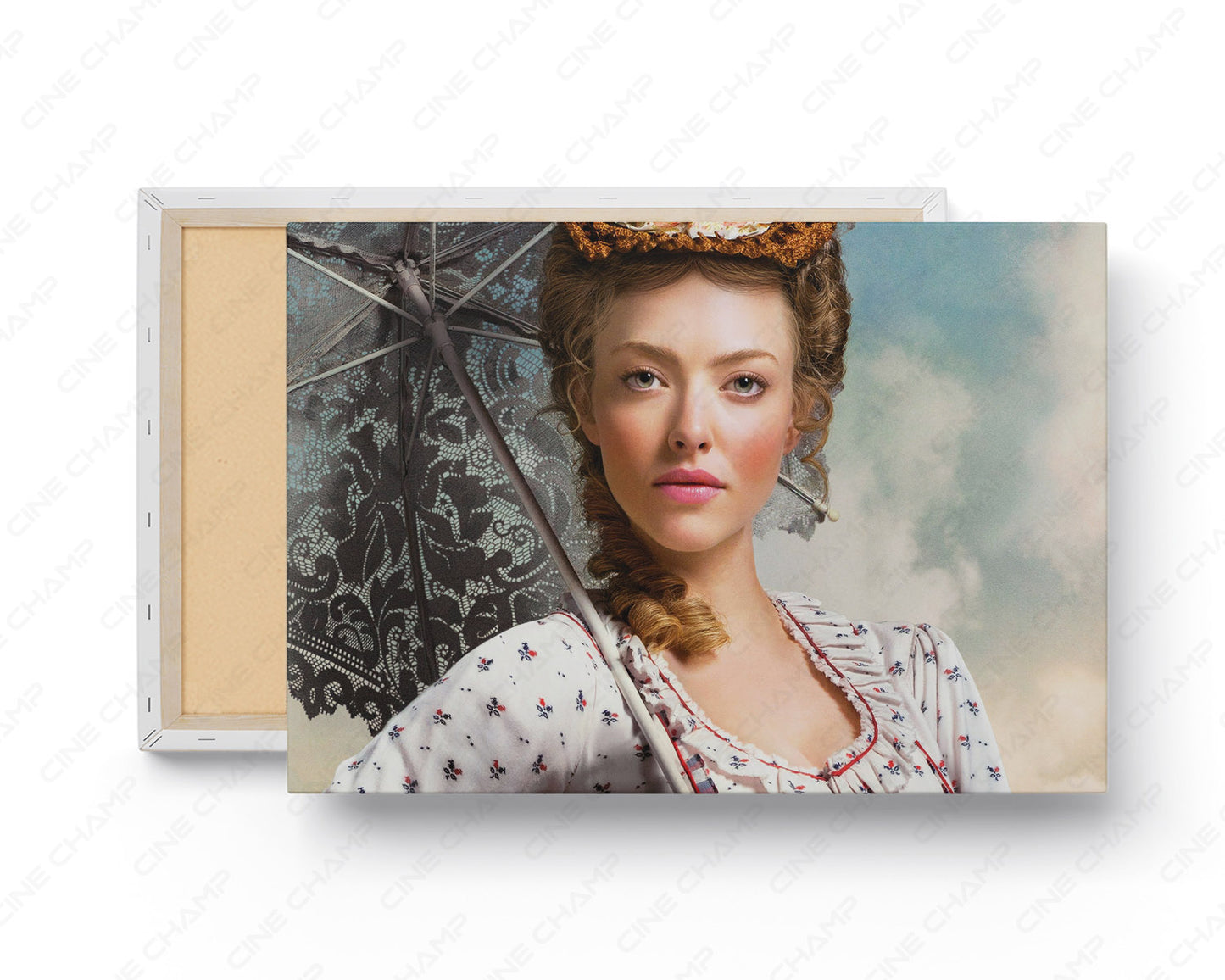 A Million Ways to Die in the West Canvas Print