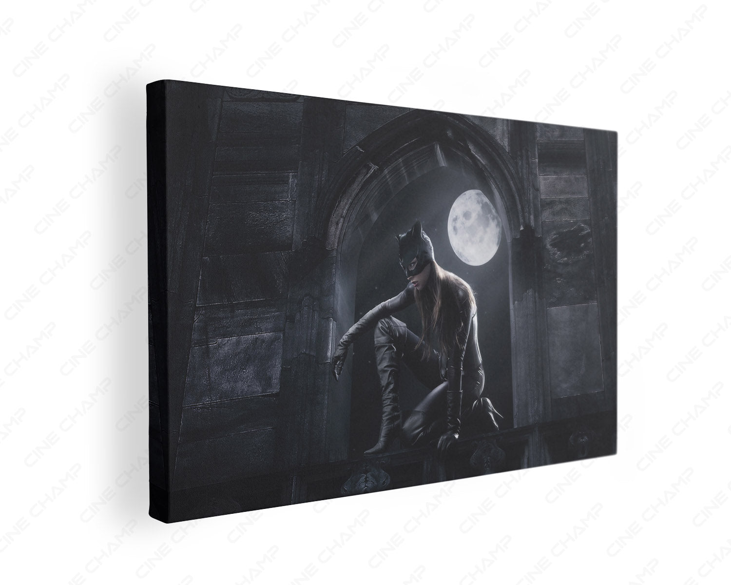 Catwoman Canvas Print Gallery Wrap Featuring DC Superhero Inspired Wall Artwork