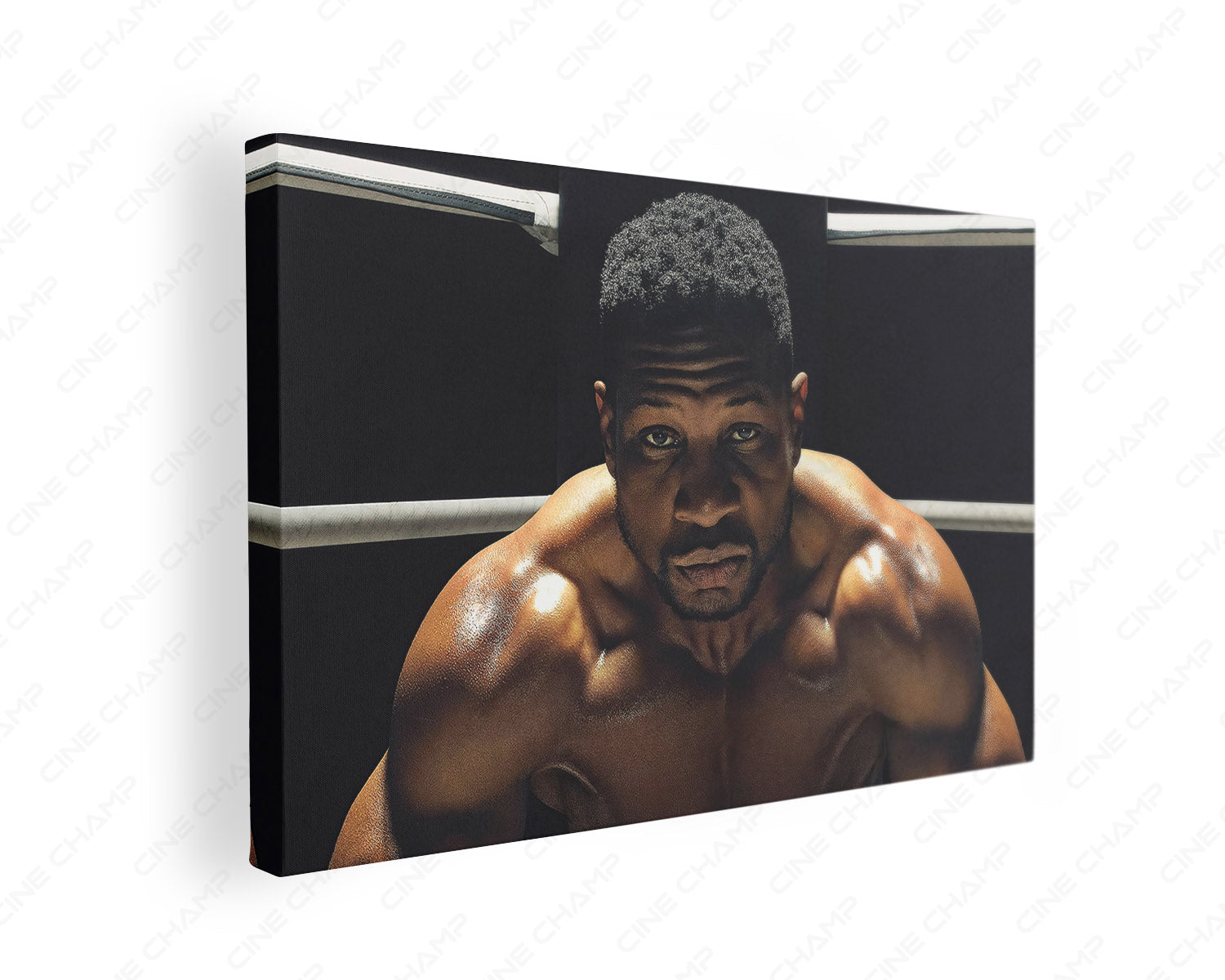 Damian Anderson Canvas Print gallery wrap featuring the determined Creed III boxer in a bold cinematic design, perfect for modern sports-inspired wall décor.