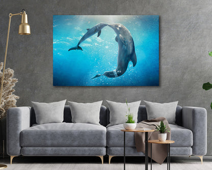 Dolphin Tale ocean adventure canvas print