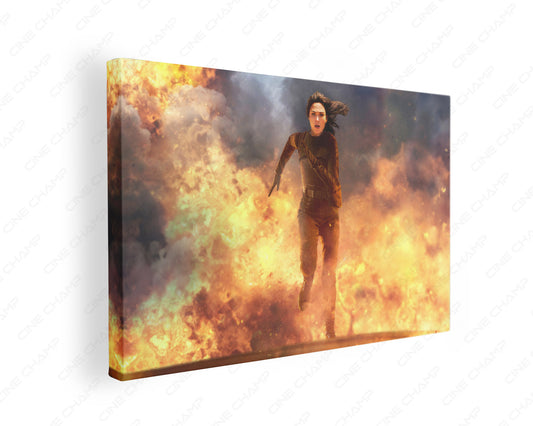 Heart of Stone canvas art movie wall decor