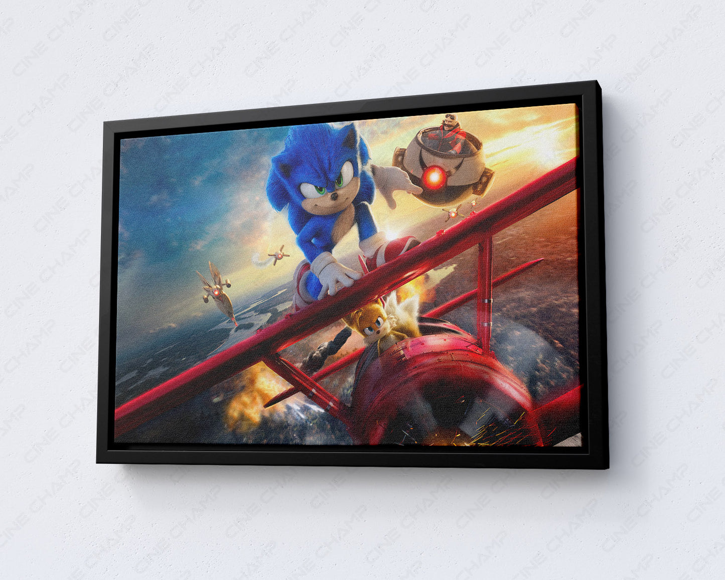 Sonic the Hedgehog 2 Canvas Print