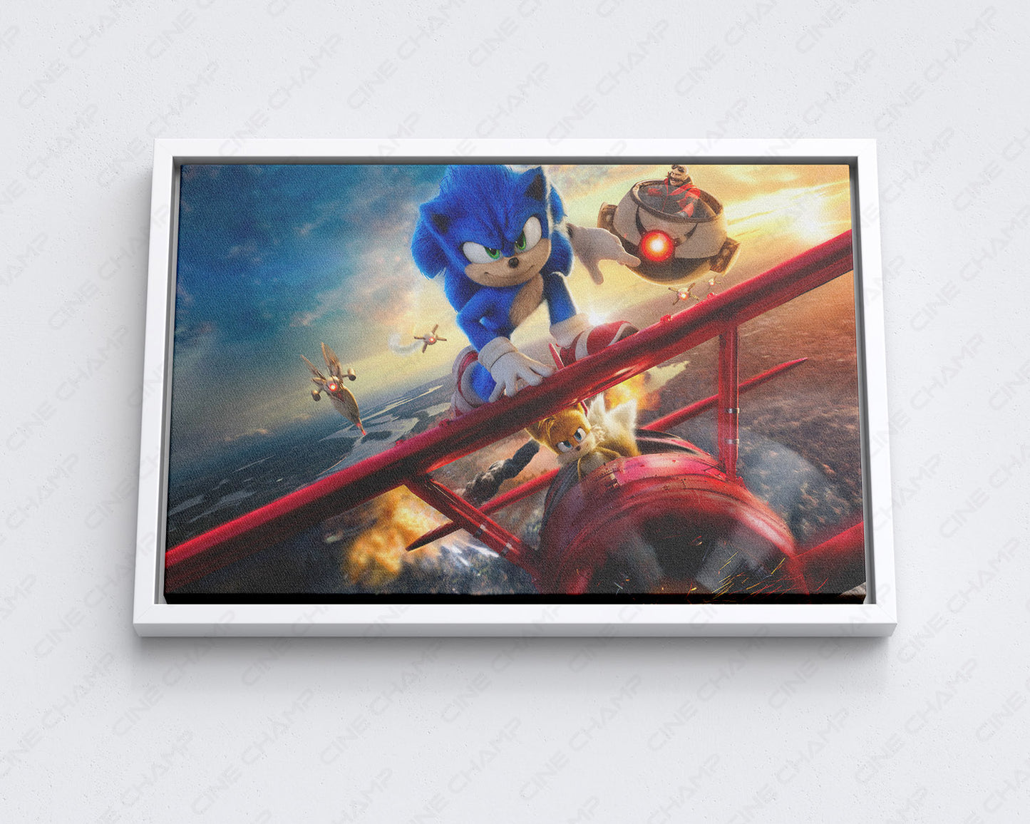 Sonic the Hedgehog 2 Canvas Print