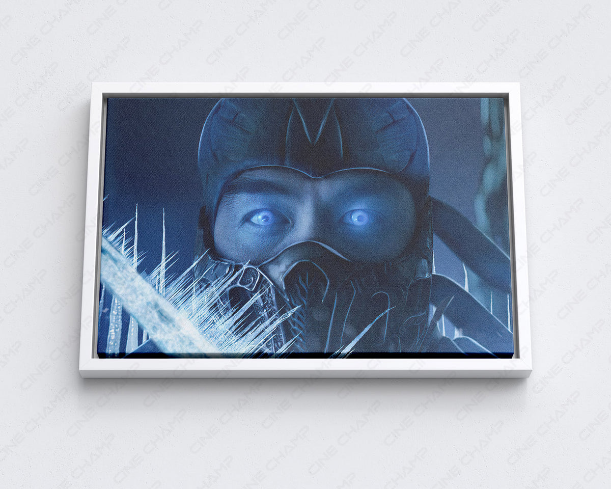 Sub-Zero Fighting Game Character Art