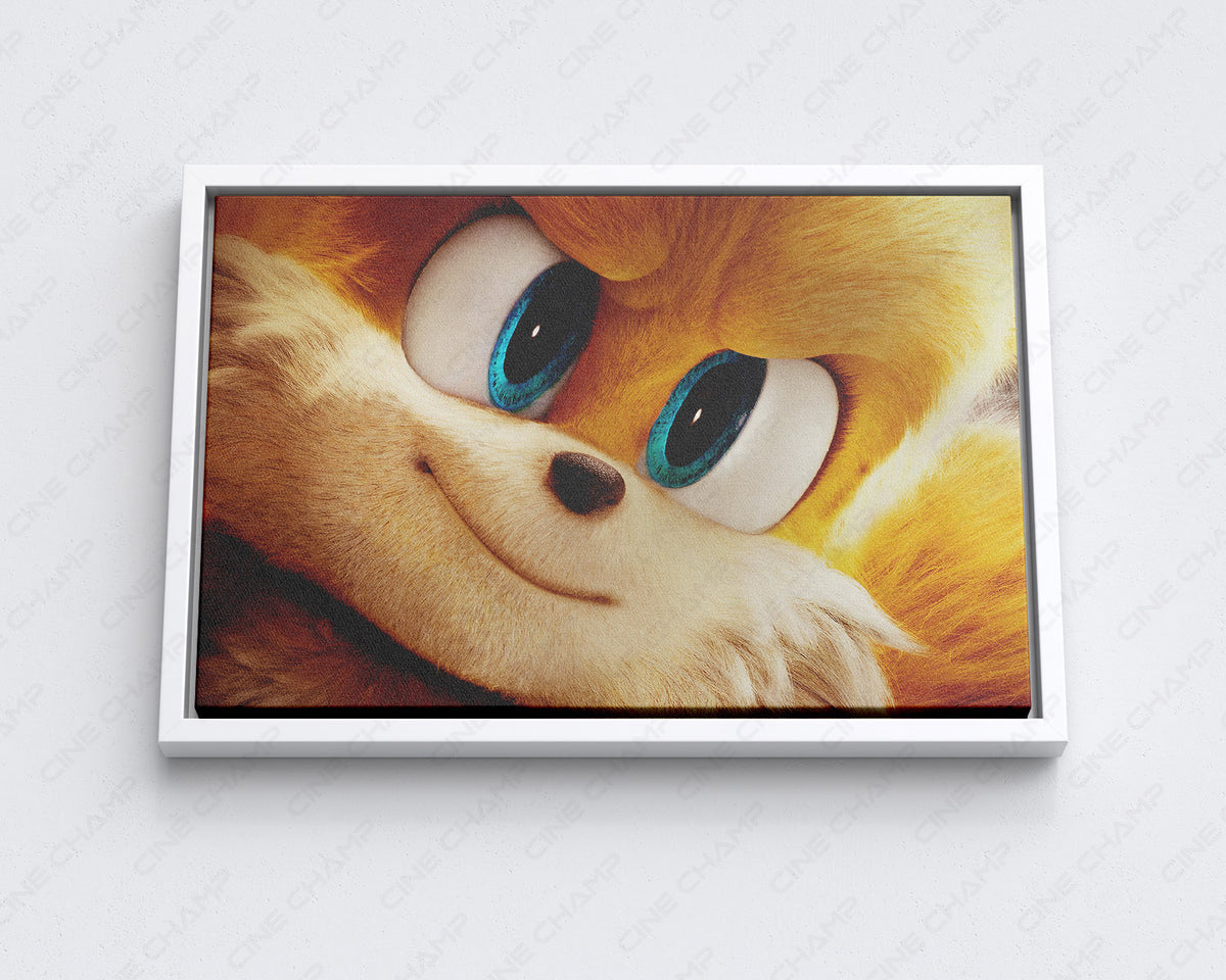 Tails Sonic the Hedgehog Movie Poster Canvas