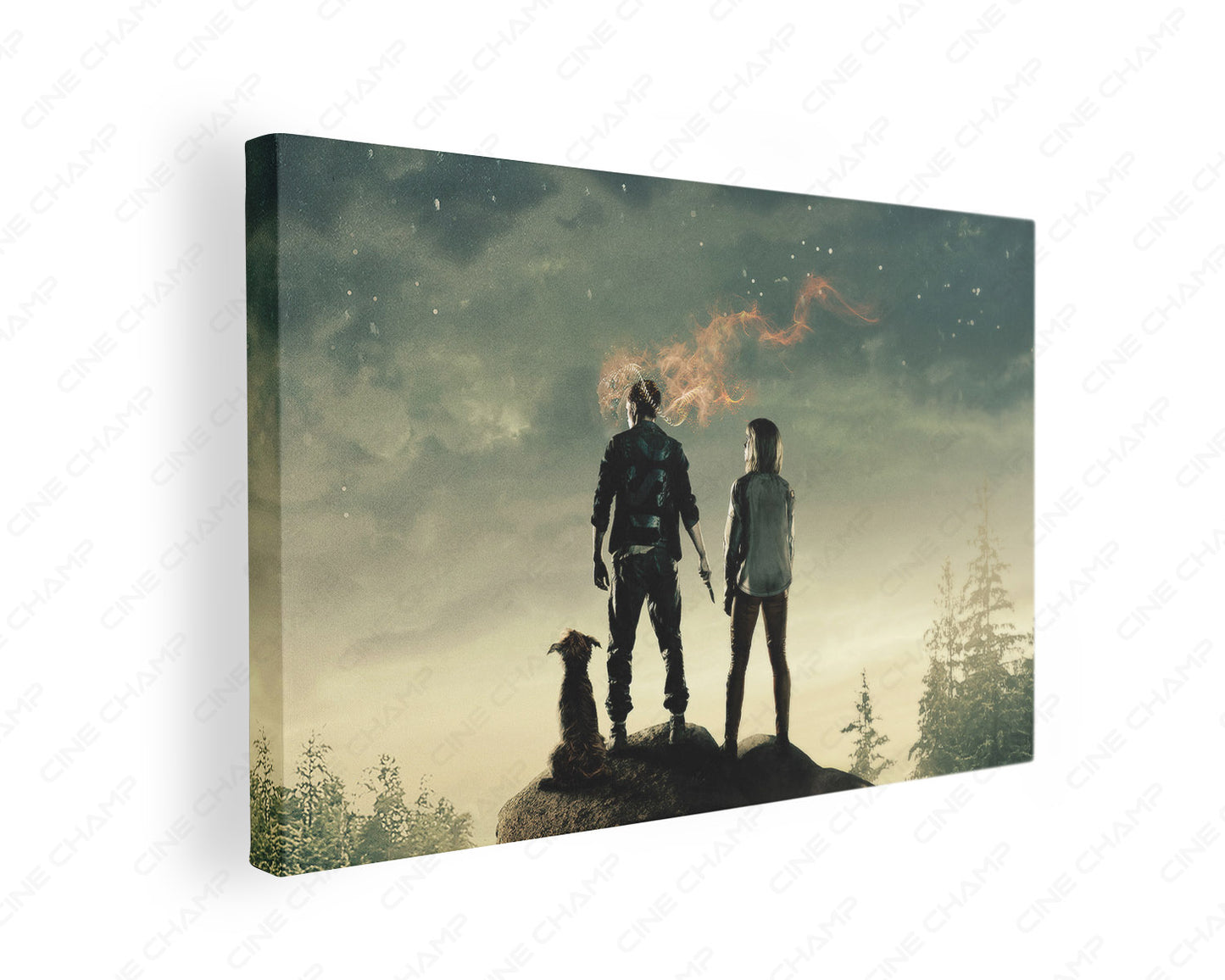 Chaos Walking Canvas Wall Art Sci-Fi Adventure Movie Canvas Print